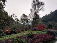 -桃花岭景区