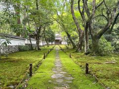 -西芳寺(苔寺)