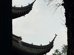 -西园寺素食(西园弄戒幢律寺店)
