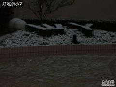 -上海市位育初级中学