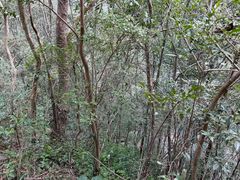 -宁波五龙潭景区