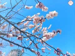 -吉林大学(南岭校区)