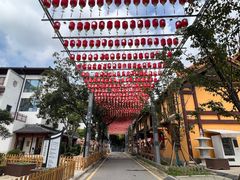 -亭林园-华藏寺