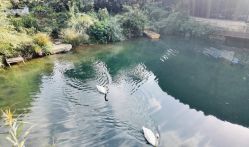 -尚圣月子会所·庄园式月子中心(萧山湘湖店)