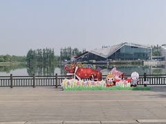 -上海长兴岛郊野公园