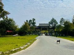 -黄陂区野村谷景区