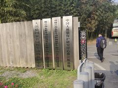 -都江堰中华大熊猫苑