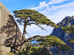 -黄山风景区