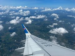 -胡志明市美术馆