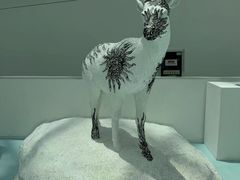 -中国湿地博物馆