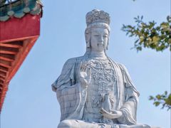 -东莞市大岭山森林公园