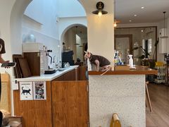 -有猫主题·治愈系猫咖(曾厝垵店)