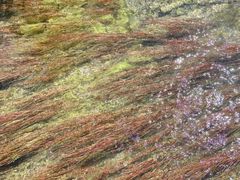 -九寨沟-树正沟