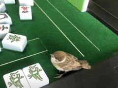 -流花苑精致潮粤菜(越秀店)