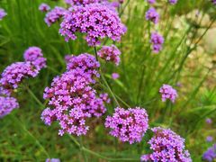 -梁鸿国家湿地公园