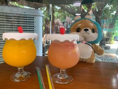 -柴犬高等学院·狗咖·柴犬售卖·宠物训练