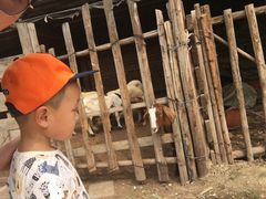 -呀路古热带植物园