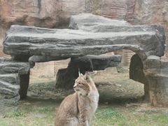 -杭州野生动物世界