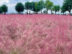 -汉长安城未央宫国家考古遗址公园