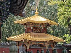 -护国法轮寺
