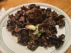 傣味黑木耳-云海肴·汽锅鸡·云南菜(广安门天虹店)
