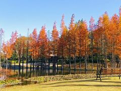 -南京银杏湖乐园