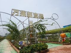 -长廊欢乐园