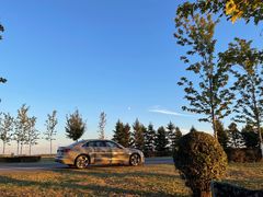 -蒲河岛湿地公园