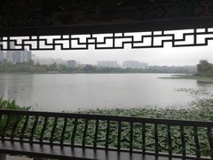 -洛龙公园