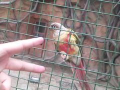 -西安秦岭野生动物园