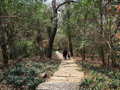 -采石矶景区