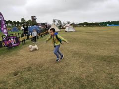 -春花秋色城市公园