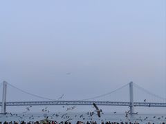 -星海广场