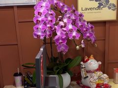 -LANN I 蘭·泰式古法按摩(高岛屋百货店)