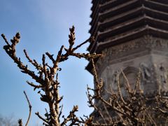 -玲珑塔公园