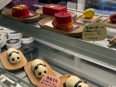 -轩客会(熊猫书店)