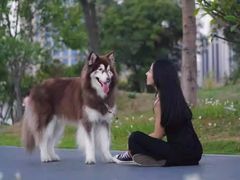 -美迦爱-牙专科·兔科·骨科诊疗中心(北苑店)