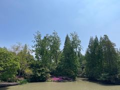 -上海滨江森林公园
