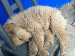 -乐宠宠物店(世纪金源店)