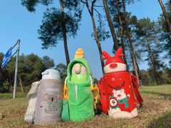 -铁山坪森林公园