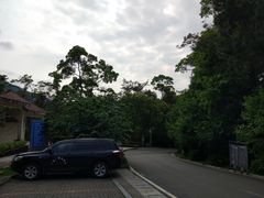 -广州市流溪河国家森林公园