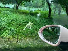 -乐和乐都主题乐园