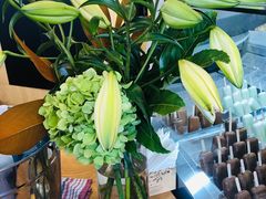 -Patagonia Chocolates(皇后镇店)