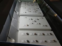 -古陶文明博物馆