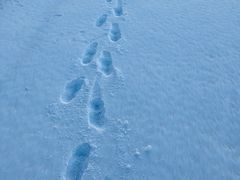 -奇滋豆味(南十四道街店)