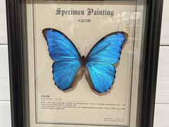 -上海鲜花港