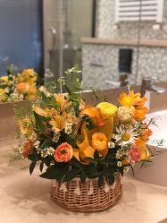 -海豚湾高端月子会所(黄浦店)