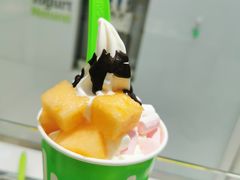 -Salud撒露欧洲冻酸奶(蓝色港湾店)