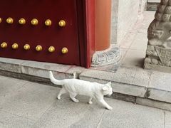 -西安大兴善寺