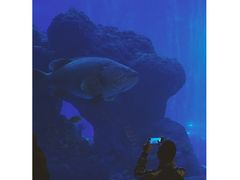 -成都浩海立方海洋公园